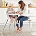 Skip Hop Convertible High Chair, Tuo, Grey Clouds