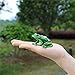 Waltz&F Back drill frog Trinket Box Hinged Hand-painted Animal Figurine Collectible Ring Holder