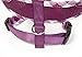 Checkered Frills Fashion Puppy Harness for Pets Dog & Cat, Purple Medium