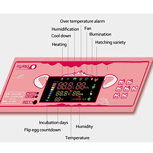 WISKEO Süß Inkubator Eier Automatisch Drehen, Brutmaschine Vollautomatische, Brutkasten mit LED Temperaturanzeige… – Bild 5