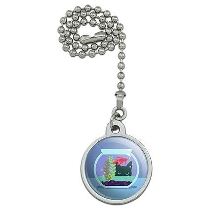 Amazon Com Graphics More Black Cat Staring At Betta Fish Bowl