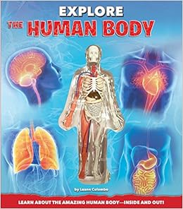 Explore the Human Body Explore the Human Body