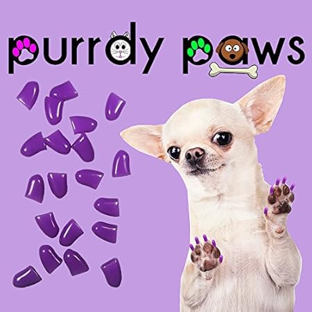 purrdy paws soft dog nail caps
