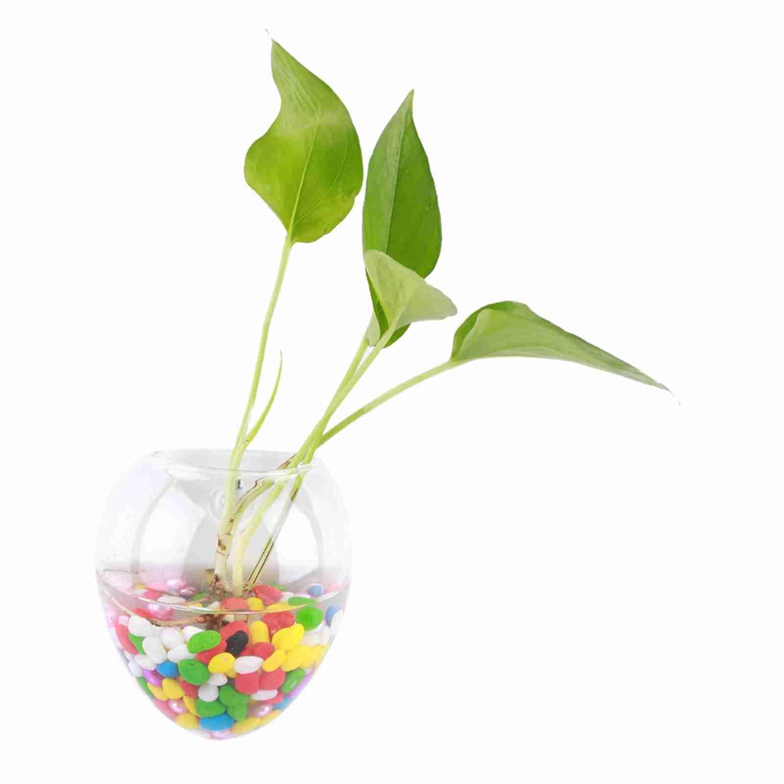 Wall Hanging Plant Terrarium Water Planting Glass Vase Planter Containers Flower Pots for Home Decor Wall Decorations(Pattern 6)