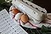 Egg Cartons - 25 Bulk Pack - 30 Bonus Quality Blank Labels of multi temp vinyl material, 100% recycled pulp biodegradable material, holds one dozen eggs, multi-use, sturdy, bulk cheap egg carton
