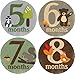 Woodland Critters Monthly Baby Bodysuit Stickers