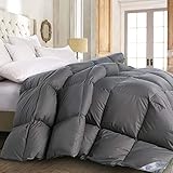 ROSECOSE Luxurious All Seasons Goose Down Comforter Queen Size Duvet Insert Gray 1200 Thread Count 750+ Fill Power 100% Cotton Shell Hypo-allergenic Down Proof with Tabs (Queen, Gray)
