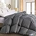 ROSECOSE Luxurious All Seasons Goose Down Comforter Queen Size Duvet Insert Gray 1200 Thread Count 750+ Fill Power 100% Cotton Shell Hypo-allergenic Down Proof with Tabs (Queen, Gray)