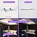 HitLights White LED Strip Lights 5000K, 10ft High Density 12V Tape Light, 360 LEDs, 530Lumens/ft, 4.6Watt/ft, IP30, CRI＞90, Lighting for Cabinet, Mirror, Kitchen, UL-Listed(Power Source Not Included)