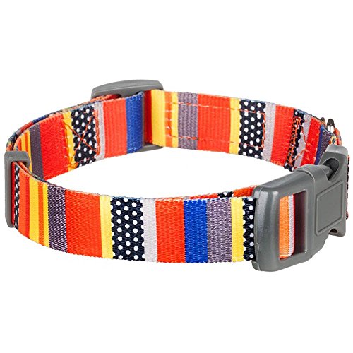 Blueberry-Pet-Basic-Polyester-Nylon-Collar-Lead-Harness-for-Dog