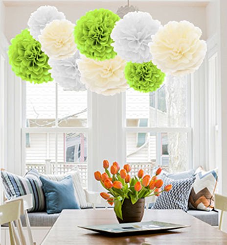 A Liittle Tree 12 PCs Mixed Tissue Paper Pompoms Pom Poms Hanging Garland Wedding Party Decor (Eco)
