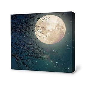 Canvas Wall Art for Living Room,Bedroom Home Artwork Paintings Charming Moon Ready to Hang - 12x12 inches