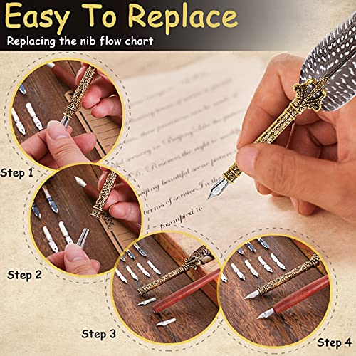 Quill Pen Guinea Fowl Feather Pen And Ink Set With 10 Replacement Nibs
