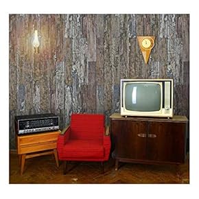 Vertical Brown Rusty and Retro Wood Textured Paneling - Wall Mural, Removable Wallpaper, Home Decor - 66x96 inches