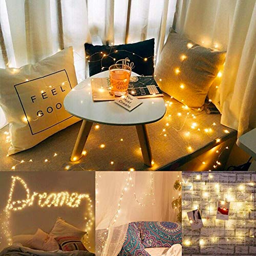 DeepDream 66ft String Light Battery Powered, Remote Twinkle Fairy