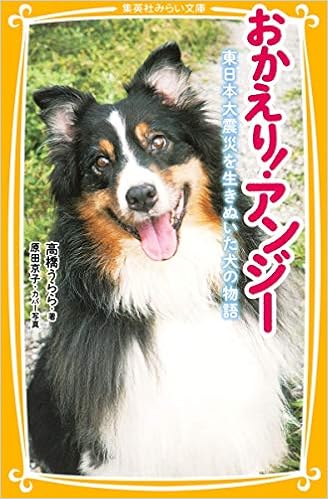 おかえり アンジー東日本大震災を生きぬいた犬の物語 集英社みらい文庫 Urara Takahashi Amazon Com Books