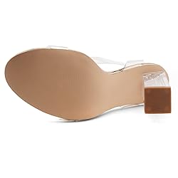 Shoe Land Womens SL-Cllaary Clear Heels Open Toe