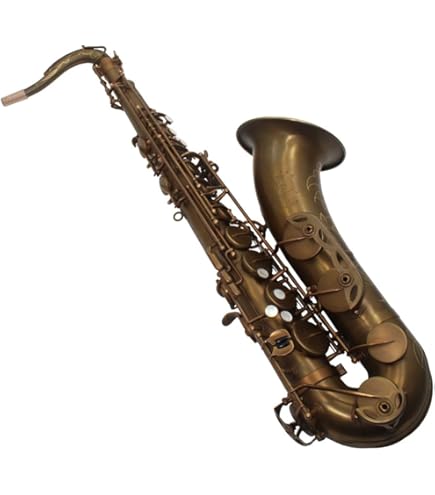 Antigua　Eeldon TenorSAX Amazon.com: Eldon by Antigua TS-22 Bb Tenor Saxophone Lacquer