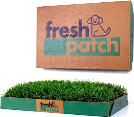 Fresh Patch (Trial Pack) - As Seen on Shark TanK