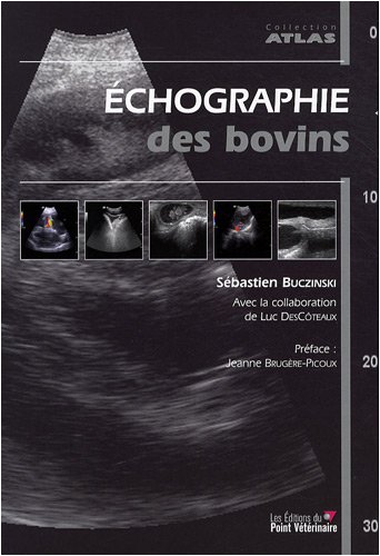 Échographie des bovins
