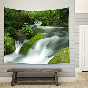 Stones Covered with Moss in a Rainforest - Fabric Tapestry, Home Decor - 51x60 inches