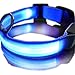 New Blue Nylon LED Dog Night Safety Collar Flashing Light up W/circular Pendant Collar--XL