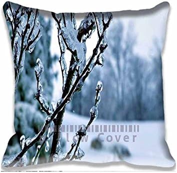 Close Up Ice Winter Retro Style Cotton Polyester Throw Pillow Case Personalized Cushion Cover Happy New Year Home Office Decorative Square Pillowslips 18x18inch