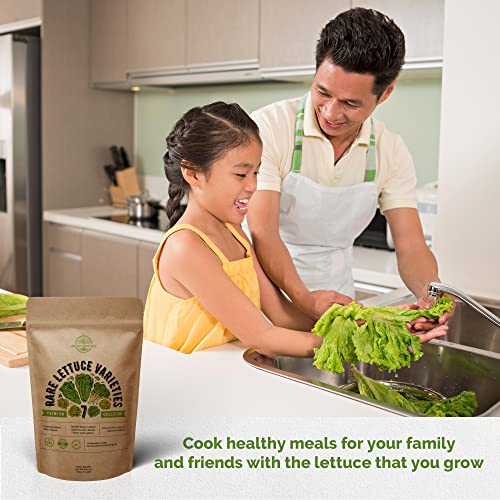 7 Lettuce Seeds Variety Pack NonGMO Heirloom Seeds for Planting