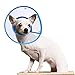 PETBABA Cat Cone Collar, to Stop Licking, Recovery Elizabethan After Surgery, Clear Soft Neck E-Collar, Not Block Vision, for Kitten Puppy Dog Pet in Surgery Remedy - M in Blue
