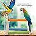 Sheens Bird Perch, Parrot Wooden Grinding Paw Toy Pet Bird Cage Stand Platform Rack Paw Poles for Budgies Parakeet Cockatiel Cockatoo Conure Lovebird (Triangle)thumb 4