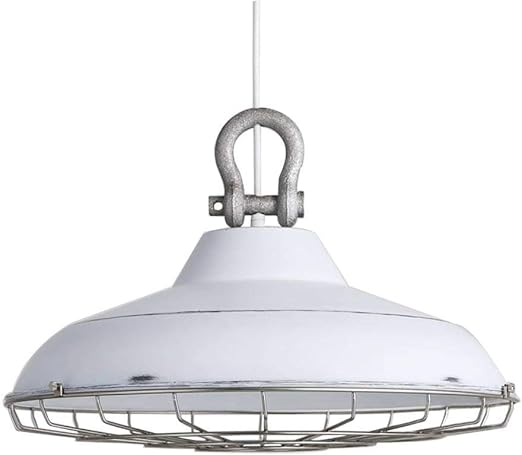 Vintage Metal Steel Bulb Cage Industrial Lights Pendant Lamp Guard Mint Green Lighting Accessories Home Garden Worldenergy Ae