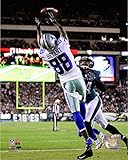 Dez Bryant Dallas Cowboys 2014 NFL Action Photo (Size: 8