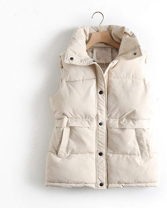 Amazon ダウンベスト レディース フ 女性のノースリーブ冬暖かい防風冬ベストコート女性シングルブレストルーズシックファッションベストアウトドアアクティビティ旅行作業ハイキングキャンプ ベスト 通販