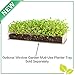 Window Garden Microgreens Growing Kit - Includes Microgreen Seeds, Organic Pea Shoot (3 Pack Refill) - Indoor Microgreen Grow Starter Kit - Pre-Measured Soil, Sprout Crops of Superfood Greens