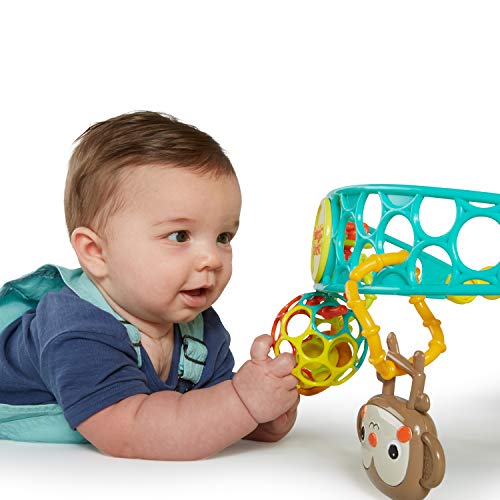 Oball Kidsii Sonajeros Y Aros De Peluche Juguetes Y Juegos Kudzuandcompany Com