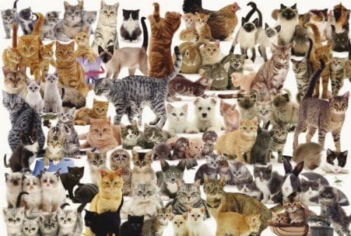 King Jigsaw Puzzle - 1000 pieces - Animal Collection - Cats