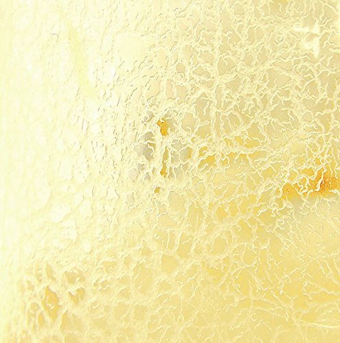 Insectsales.com Micro Worm Producing Culture (Live 8 oz.).1000's of Worms in The Culture