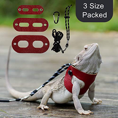 WATFOON Adjustable Bearded Dragon Harness Leash Pet-Friendly Leather Collar, 3 Pack (Different Size S, M, L) Reptile Lizard Leash for Reptiles Amphibians and Small Pet Animals, 5 Color Option (Red)