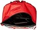Pokemon Boys' Pocket 15 Inch Backpack with Lunch Kit, Red, 15