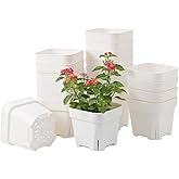 BangQiao 20 Pack 5.50 Inch White Plastic Nursery and Seedling Pots, Square Seed Starter Plant Pot Container for Cactus, Succulent, Cutting, Transplanting