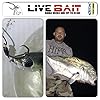 Live-Bait-Zip-Bridle-Needle-Hook-Harness-and-Zip-Tie-in-One Live-Bait-Zip-Bridle-Needle-Hook-Harness-and-Zip-Tie-in-One