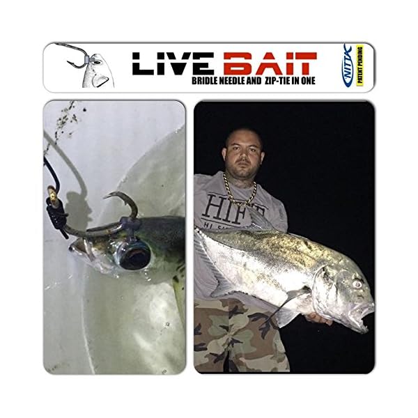 Live-Bait-Zip-Bridle-Needle-Hook-Harness-and-Zip-Tie-in-One Live-Bait-Zip-Bridle-Needle-Hook-Harness-and-Zip-Tie-in-One