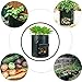 Aquarius CiCI Garden Potato Grow Bag Eco-Friendly Garden Planting Grow Bags Vegetables Planter Bags with Flap and Handles Heavy Duty Suitable for Potato, Carrot, Tomato, Onion(Green)