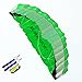 Besra Huge 102inch Dual Line Parachute Stunt Kite with Flying Tools 2.6m Power Parafoil Kitesurfing Training Kites Outdoor Fun Sports for Beach (102inch Green)
