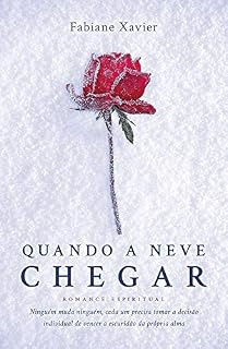 Livro Quando a Neve Chegar: romance espiritual