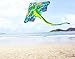 HENGDA KITE- Kites for Kids Children Lovely Cartoon Dragon Kites with Flying Line