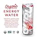 Guru Organic Energy Sparkling Water, Green Tea & Stevia, Variety Pack, 12 Ounce (Pack of 12), Sugar Free