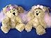 5.5 Inches Angel Fairy Teddy Bear Toy Ornament , 2 Pcs/set by Ellis Collection