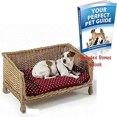 wicker dog sofa