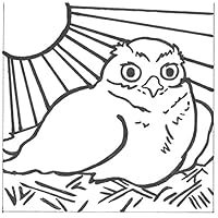 PaintaDoodle 12 x 12 Burrowing Owl Painting Kit